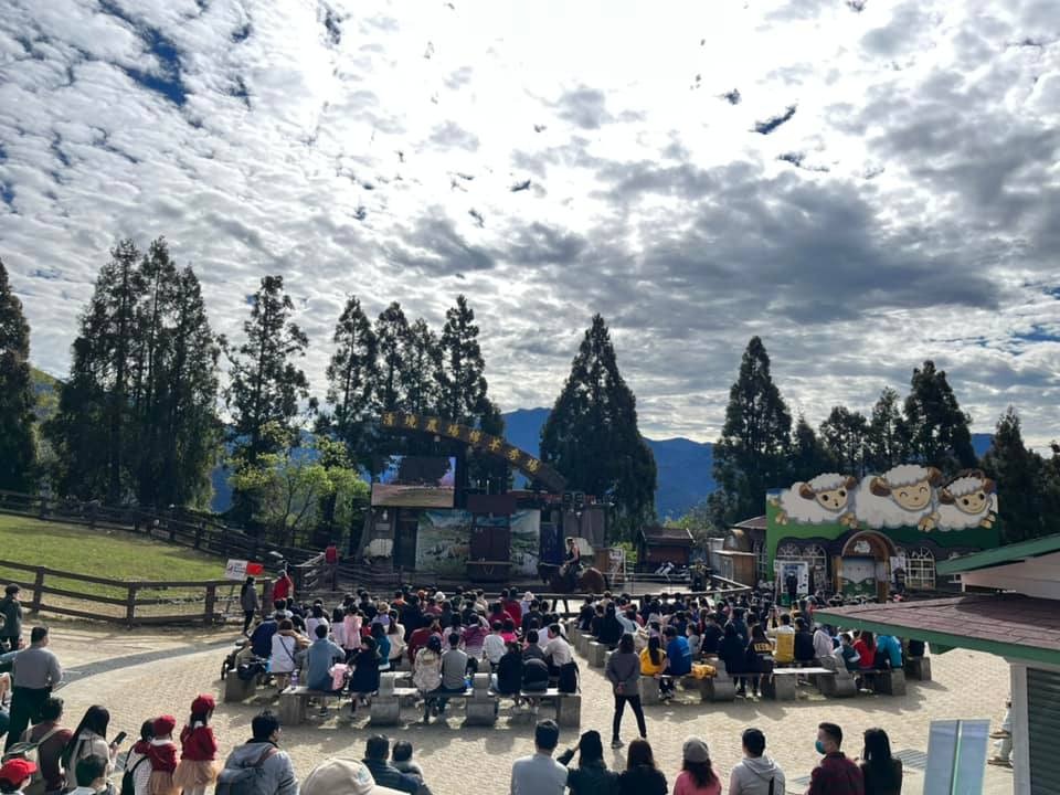 清境農場綿羊秀，青青草原開心的羊咩咩餵食互動， 還有可愛的羊咩咩脫光秀～ @捲捲頭 ♡ 品味生活