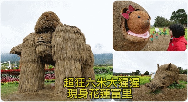 富里稻草藝術節，現身田野間的稻草動物園！超狂六米高銀背猩猩，巨型松鼠，黃金山豬。快來拍一波！！！ @捲捲頭 ♡ 品味生活