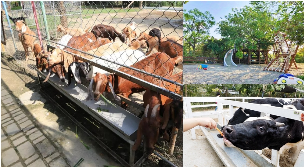 台南樹谷農場，假日熱門景點，買門票附飼料。能餵斑比、小馬、小羊還有可愛的兔兔跟天竺鼠！ @捲捲頭 ♡ 品味生活