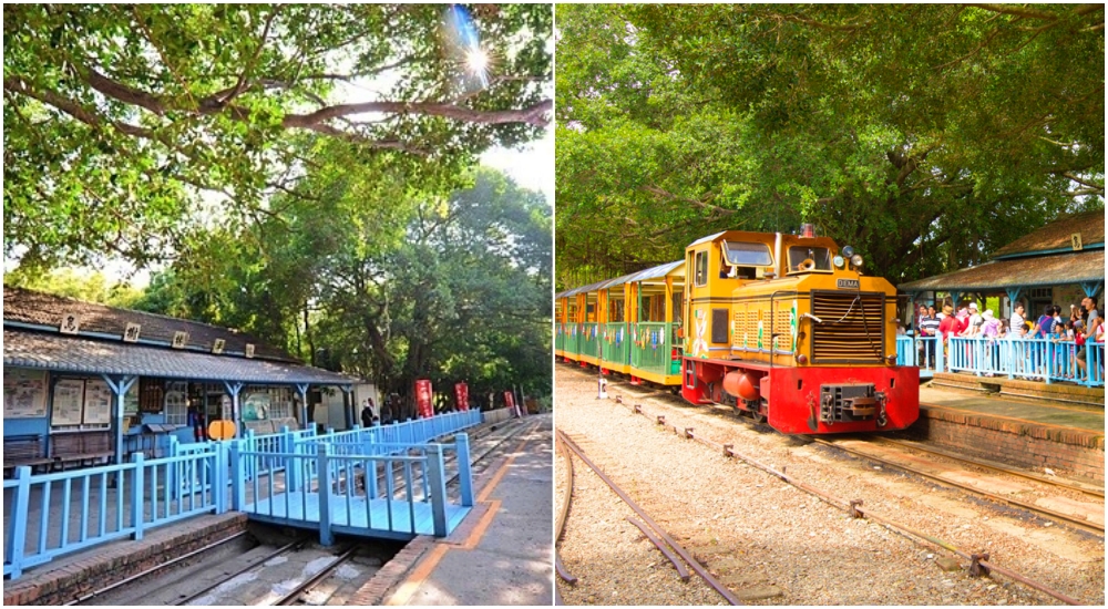 台南烏樹林休閒園區，火車迷必看，坐五分車逛甘蔗田吃糖廠冰棒，還能順遊吃超美味的東山鴨頭！ @捲捲頭 ♡ 品味生活