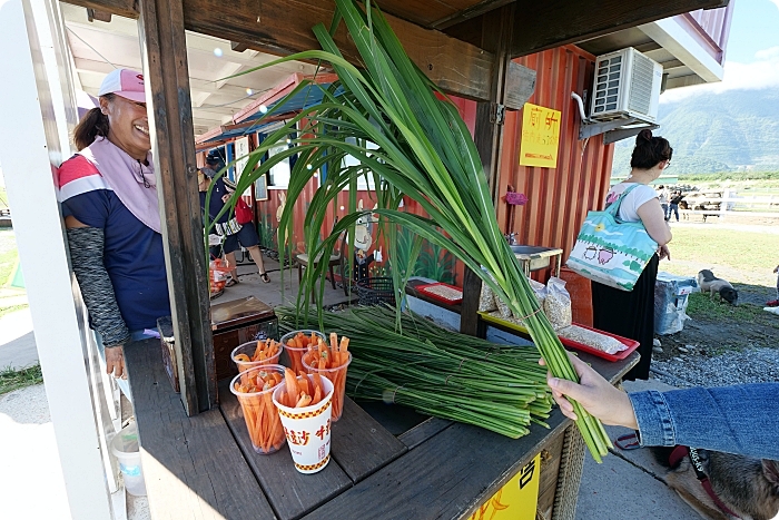 【花蓮】崇德瑩農場，絕美海洋泡泡屋，超大草原放牧餵動物，環湖露營，門票100元可折抵！ @捲捲頭 ♡ 品味生活