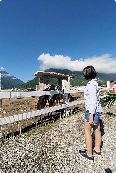 【花蓮】崇德瑩農場，絕美海洋泡泡屋，超大草原放牧餵動物，環湖露營，門票100元可折抵！ @捲捲頭 ♡ 品味生活