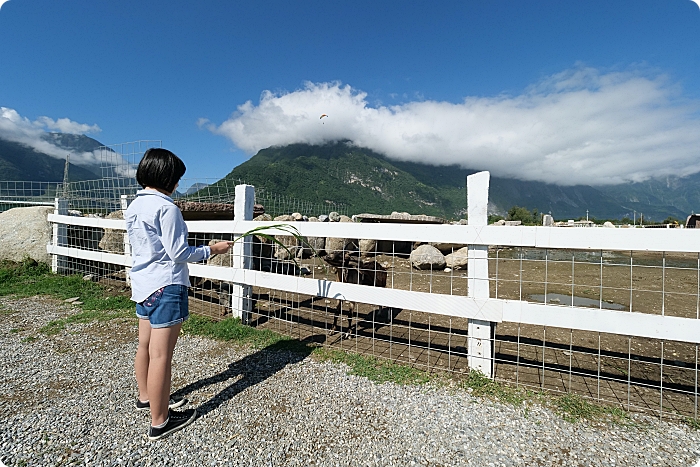 【花蓮】崇德瑩農場，絕美海洋泡泡屋，超大草原放牧餵動物，環湖露營，門票100元可折抵！ @捲捲頭 ♡ 品味生活