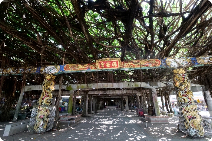 台灣澎湖好行| 媽宮北環線＆澎湖媽宮湖西線 ， 一張票搞定所有網美景點！全程配有導遊讓你深度玩澎湖（大菓葉玄武岩、南寮浮球秘境、摩西分海、漁翁島燈塔、二馬豆花、仙人掌千層派還有超人氣燒肉名店） @捲捲頭 ♡ 品味生活