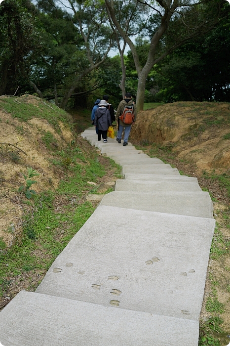 馬祖大坵島，跳島前進最Q萌的野生小鹿天堂X可愛龍貓隧道，交通方式、船班時間懶人包 @捲捲頭 ♡ 品味生活