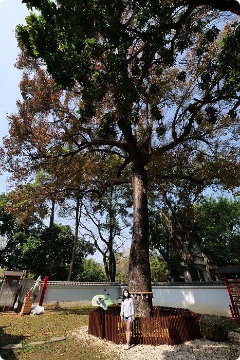 【嘉義】KANO園區特色公園，星光溜滑梯X滑草場，還有秒飛日本建築絕景的昭和J18！ @捲捲頭 ♡ 品味生活