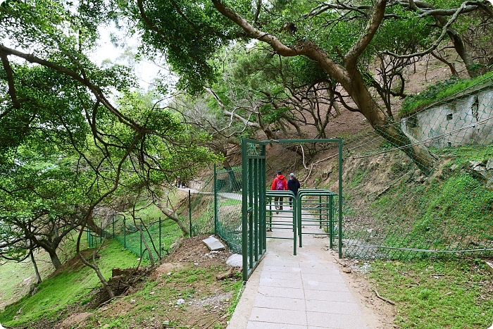 馬祖大坵島，跳島前進最Q萌的野生小鹿天堂X可愛龍貓隧道，交通方式、船班時間懶人包 @捲捲頭 ♡ 品味生活