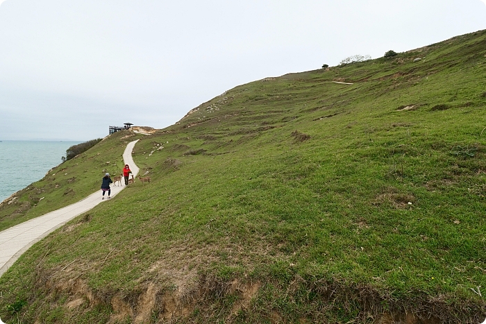 馬祖大坵島，跳島前進最Q萌的野生小鹿天堂X可愛龍貓隧道，交通方式、船班時間懶人包 @捲捲頭 ♡ 品味生活