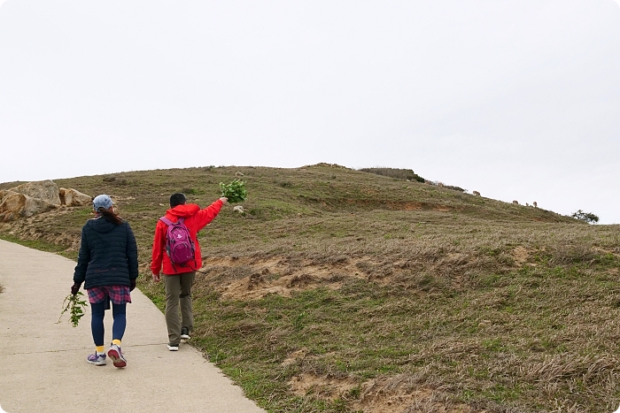 馬祖大坵島，跳島前進最Q萌的野生小鹿天堂X可愛龍貓隧道，交通方式、船班時間懶人包 @捲捲頭 ♡ 品味生活