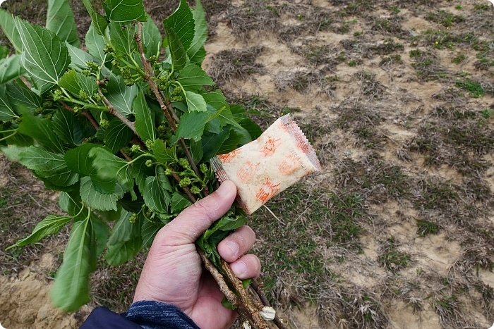 馬祖大坵島，跳島前進最Q萌的野生小鹿天堂X可愛龍貓隧道，交通方式、船班時間懶人包 @捲捲頭 ♡ 品味生活