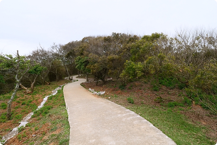 馬祖大坵島，跳島前進最Q萌的野生小鹿天堂X可愛龍貓隧道，交通方式、船班時間懶人包 @捲捲頭 ♡ 品味生活