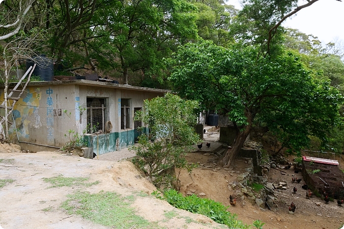 馬祖大坵島，跳島前進最Q萌的野生小鹿天堂X可愛龍貓隧道，交通方式、船班時間懶人包 @捲捲頭 ♡ 品味生活