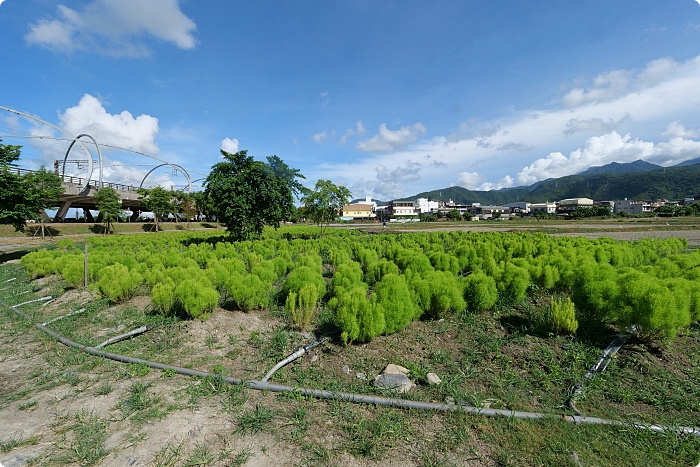 宜蘭》新秘境！圓圓波波草和台版羊角村這樣玩。夢幻彩虹屋、人氣溜滑梯、週邊美食一次ＧＥＴ！ @捲捲頭 ♡ 品味生活