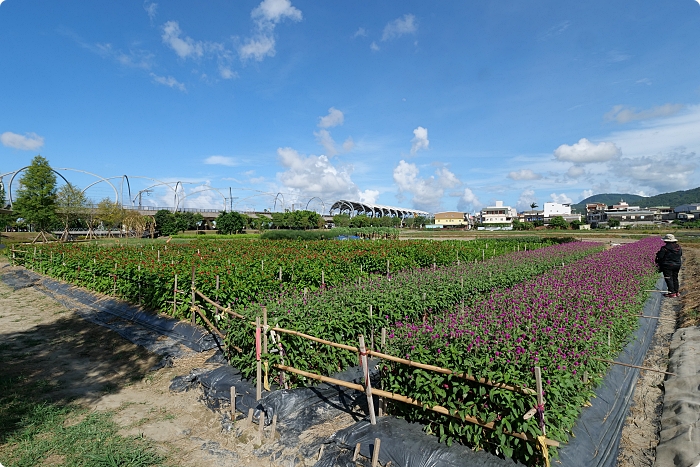 宜蘭》新秘境！圓圓波波草和台版羊角村這樣玩。夢幻彩虹屋、人氣溜滑梯、週邊美食一次ＧＥＴ！ @捲捲頭 ♡ 品味生活