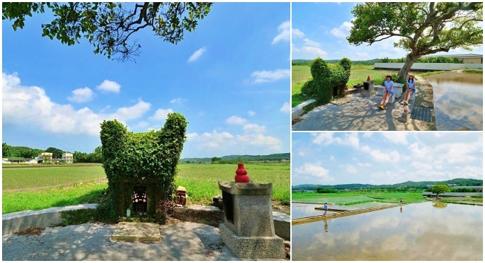 苗栗銅鑼龍貓土地公，可愛又療癒的IG打卡景點，趁著好天氣尋找龍貓伯公的下落吧！ @捲捲頭 ♡ 品味生活