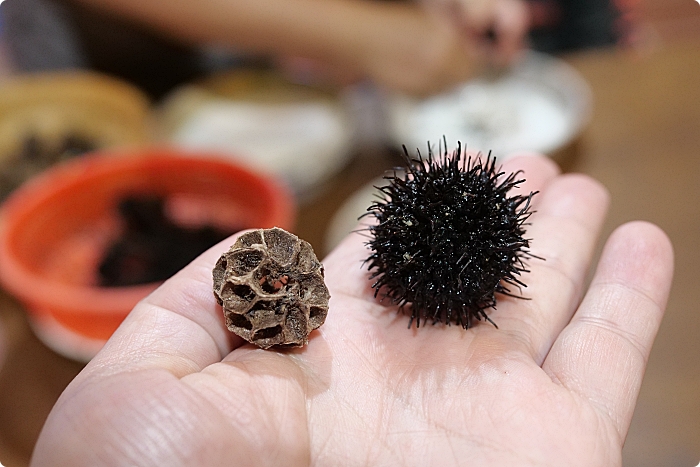 馥森里山，無敵海景豪華午茶，五星料理晚餐，森林手作DIY還能在山裡數星星，住這裡活動玩不完！ @捲捲頭 ♡ 品味生活