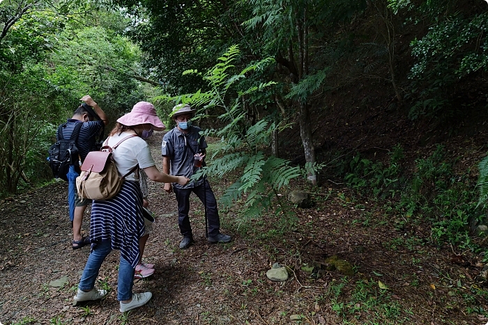 宜蘭住宿》馥森里山 | 生態動物達人秀，神級人鼓合一敲響山林。快來山海秘境走一趟！ @捲捲頭 ♡ 品味生活