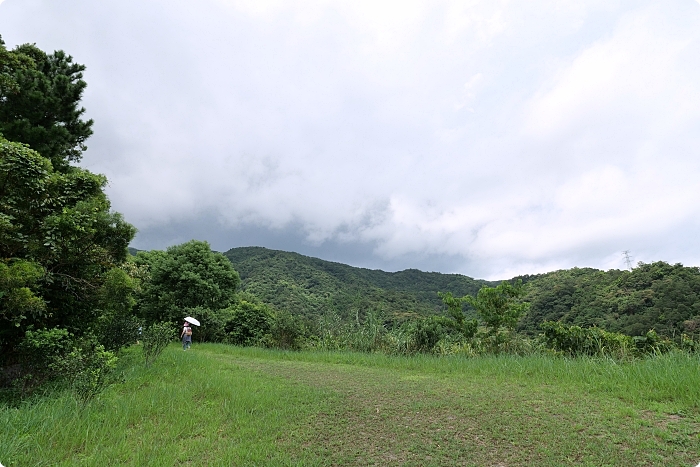 宜蘭住宿》馥森里山 | 生態動物達人秀，神級人鼓合一敲響山林。快來山海秘境走一趟！ @捲捲頭 ♡ 品味生活