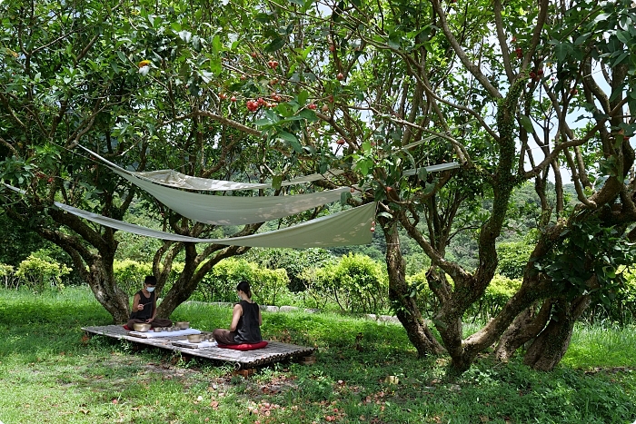 宜蘭住宿》馥森里山 | 生態動物達人秀，神級人鼓合一敲響山林。快來山海秘境走一趟！ @捲捲頭 ♡ 品味生活