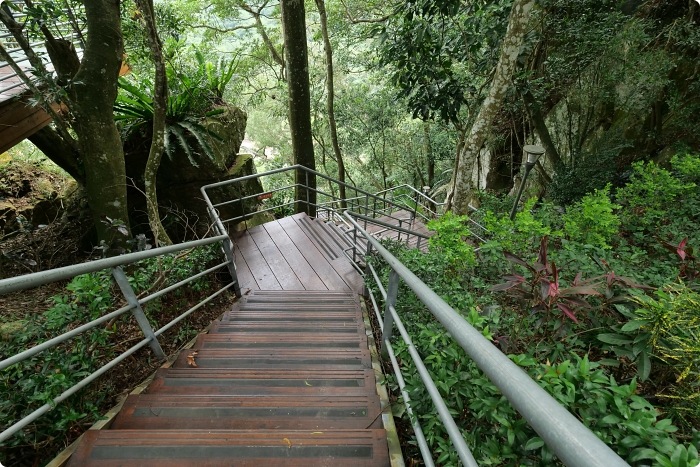 苗栗蘇維拉莊園，隱身山中的歐式莊園超好拍！瑪利歐蘑菇屋、森林溜滑梯、精靈樹屋，與你一起走進童話裡！ @捲捲頭 ♡ 品味生活