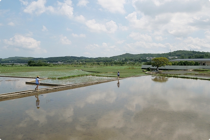 苗栗銅鑼龍貓土地公，可愛又療癒的IG打卡景點，趁著好天氣尋找龍貓伯公的下落吧！ @捲捲頭 ♡ 品味生活