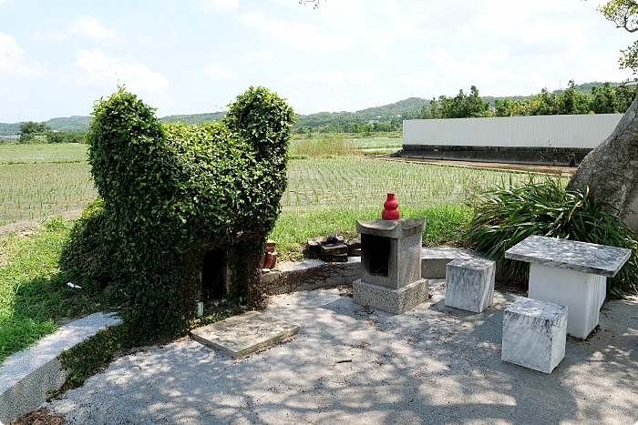 苗栗銅鑼龍貓土地公，可愛又療癒的IG打卡景點，趁著好天氣尋找龍貓伯公的下落吧！ @捲捲頭 ♡ 品味生活