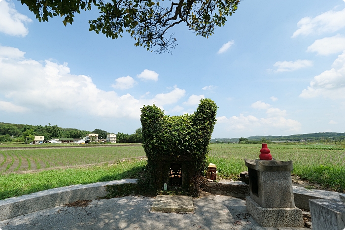 苗栗銅鑼龍貓土地公，可愛又療癒的IG打卡景點，趁著好天氣尋找龍貓伯公的下落吧！ @捲捲頭 ♡ 品味生活