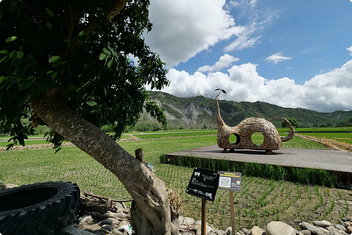 台東鹿野住宿》鹿野森活B&#038;B。來自ZAKKA鄉村風小屋，浮誇視覺系早餐、夢幻星空草原每晚看！ @捲捲頭 ♡ 品味生活