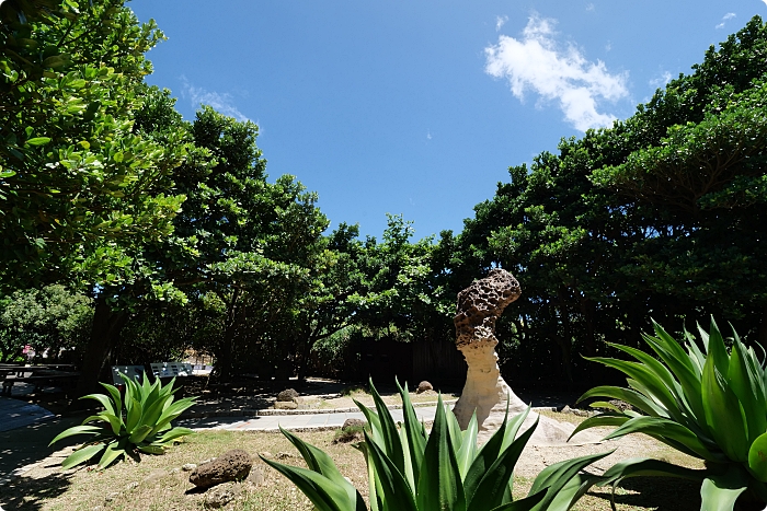 【野柳地質公園】海蝕奇觀優雅女王頭、俏皮公主、浮球秘境。小漁村、步道、沙灘、海岸，一日遊好舒心～ @捲捲頭 ♡ 品味生活