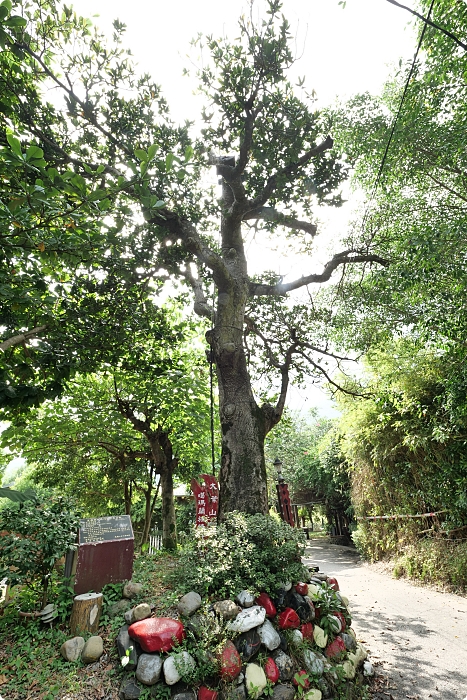 噶瑪蘭小河文明，河邊秘境人家，乘著貢多拉船划過舊河道，探訪森林裡的小木屋！ @捲捲頭 ♡ 品味生活