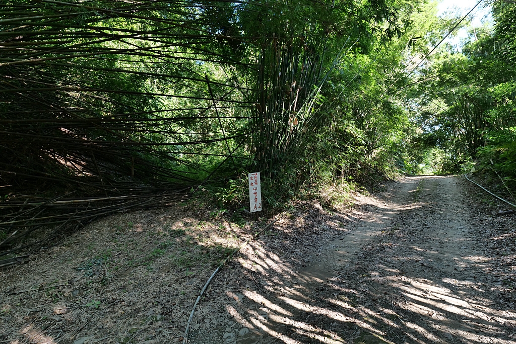 【頭城】蟾蜍山觀景台，約會秘境登高望遠賞無敵海景，夜晚還能眺望城市燈火。私房秘境別錯過～ @捲捲頭 ♡ 品味生活