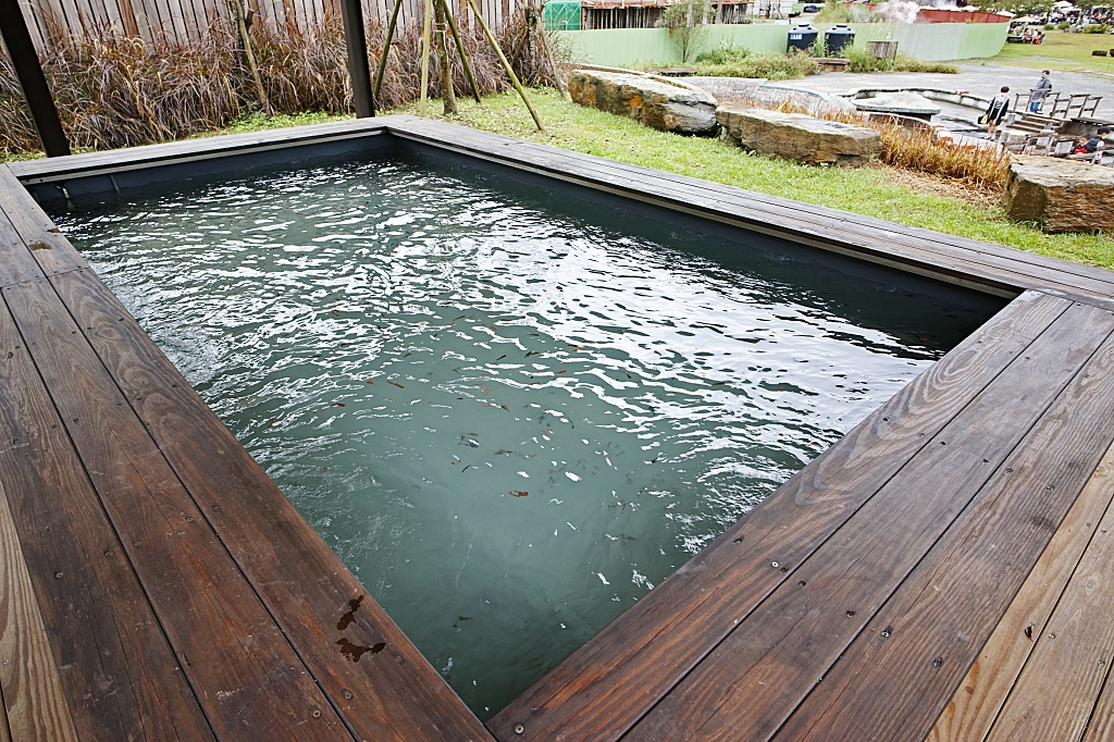 清水地熱公園 》清水泉湯屋，冰島藍湖的夢幻半露天湯屋，八座溫泉池X重口味溫泉魚，還有浪漫日式建築打卡點。 @捲捲頭 ♡ 品味生活