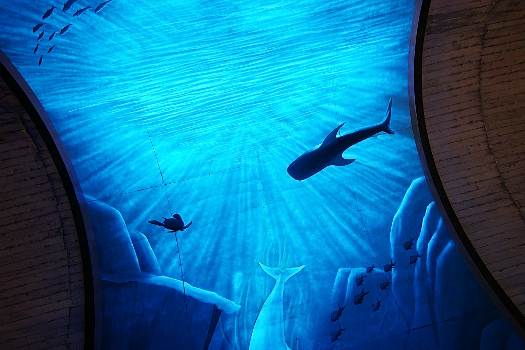 蘇東隧道，發現螢光海底隧道，最新3D深海網美景點，停車＆駐車廣場 @捲捲頭 ♡ 品味生活