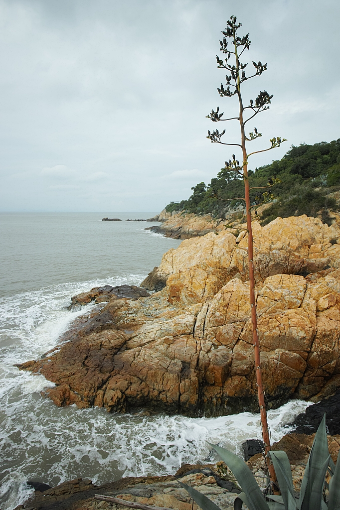 南竿《國際橋牌社2》取景地，美拍軍營堡壘廢墟風，免濾鏡就超有復古感～ @捲捲頭 ♡ 品味生活