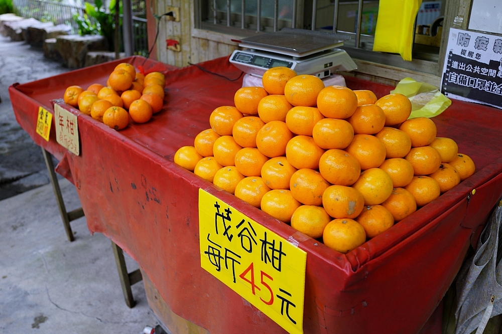 2024【春和泡湯】礁溪老牌溫泉館，溫泉直送，城市中的小秘境。大眾池 90元 ，不限時間泡到爽～ @捲捲頭 ♡ 品味生活