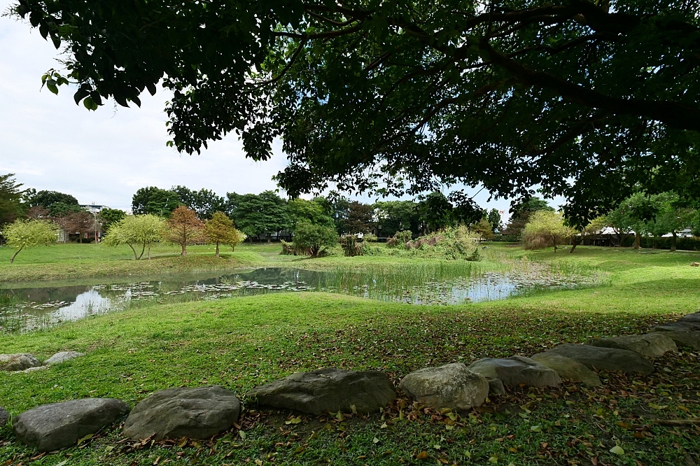 花蓮【來打餃日式煎餃】只賣冰花煎餃打天下,內餡香又多汁,一開店就排滿人潮～ @捲捲頭 ♡ 品味生活