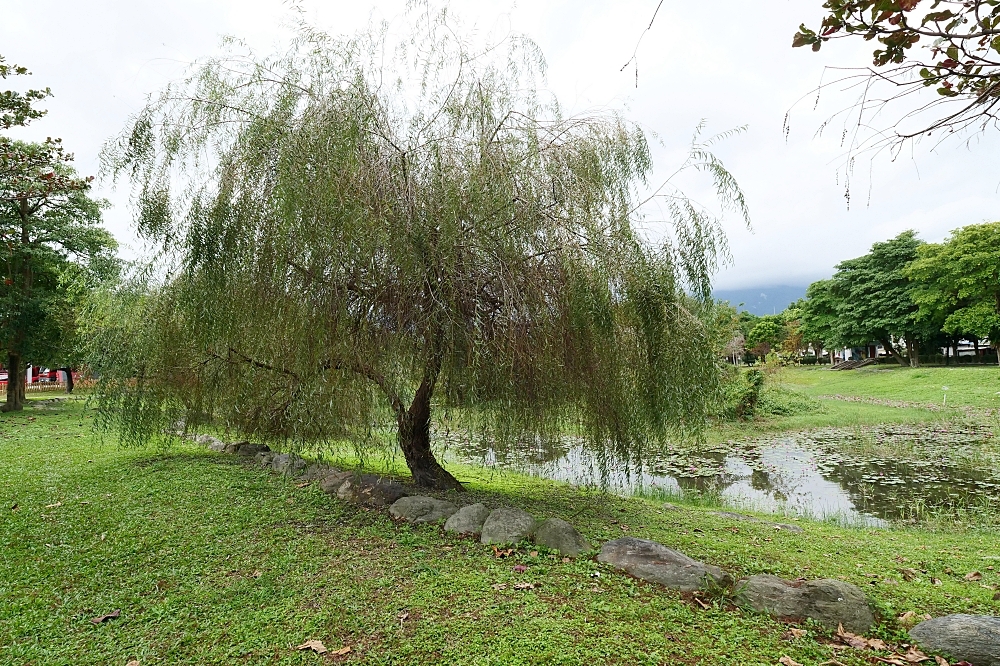 花蓮【來打餃日式煎餃】只賣冰花煎餃打天下,內餡香又多汁,一開店就排滿人潮～ @捲捲頭 ♡ 品味生活