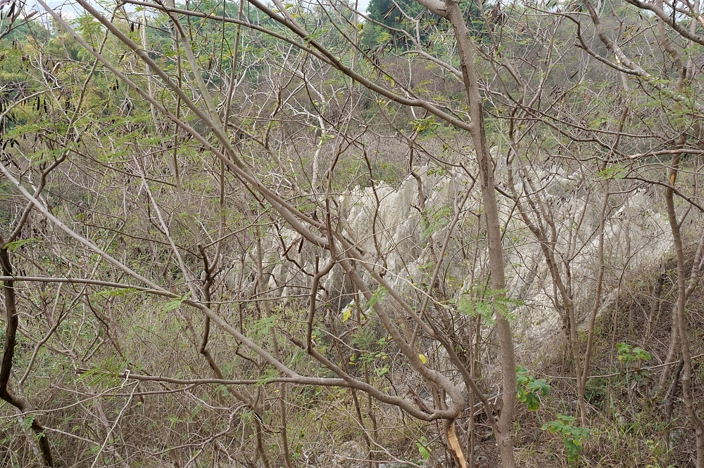 【高雄】漯底山自然公園，月世界泥火山，不用上太空就能在月球漫步！還能看空軍基地飛機起降喔～ @捲捲頭 ♡ 品味生活