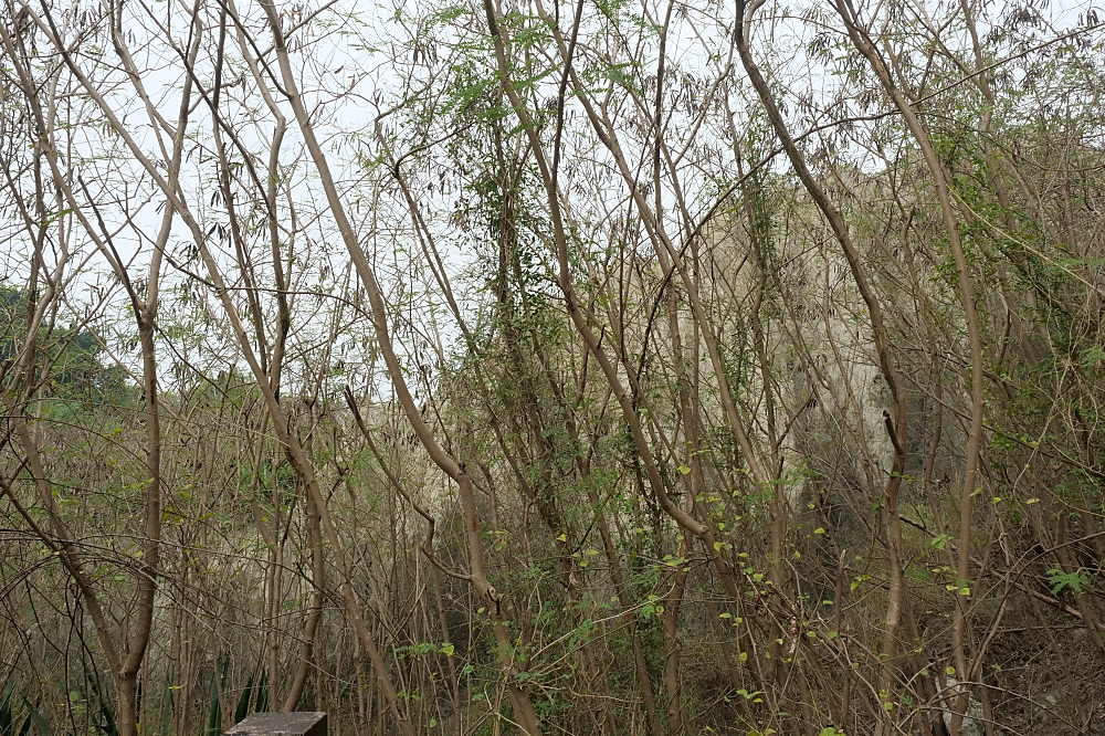 【高雄】漯底山自然公園，月世界泥火山，不用上太空就能在月球漫步！還能看空軍基地飛機起降喔～ @捲捲頭 ♡ 品味生活