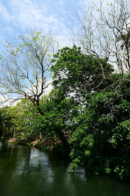 員山【北后寺】走進日系襌風寺廟，朝聖60年歷史的大佛、水池中敲鐘樓！免門票網美必追～ @捲捲頭 ♡ 品味生活