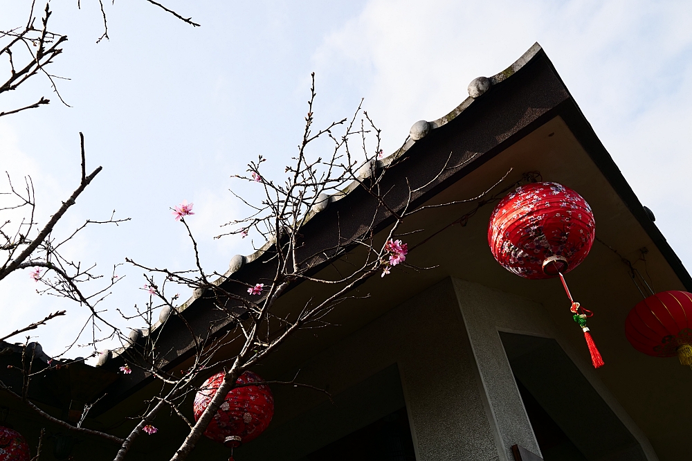 員山【北后寺】走進日系襌風寺廟，朝聖60年歷史的大佛、水池中敲鐘樓！免門票網美必追～ @捲捲頭 ♡ 品味生活