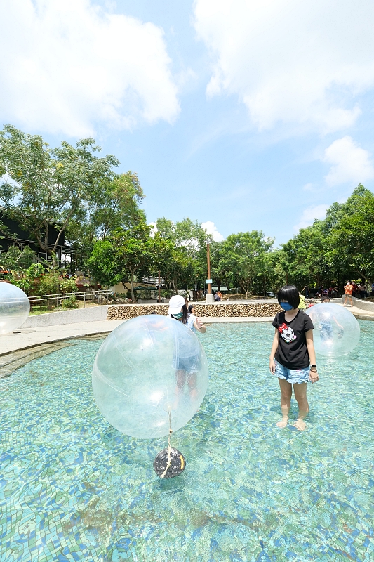 埔里【桃米親水公園】最美的玩水聖地！快來泡泡堆裡消暑一夏～ @捲捲頭 ♡ 品味生活