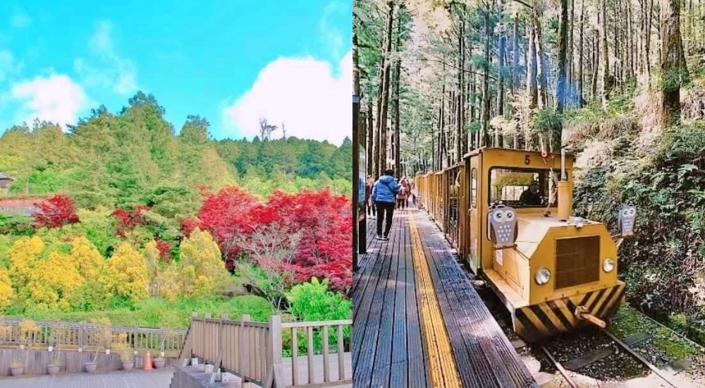 宜蘭【太平山景點】太平山一日遊，紅葉隧道賞楓，森林鐵道蹦蹦車，見晴懷古步道有氧SPA，帶你這樣玩！ @捲捲頭 ♡ 品味生活