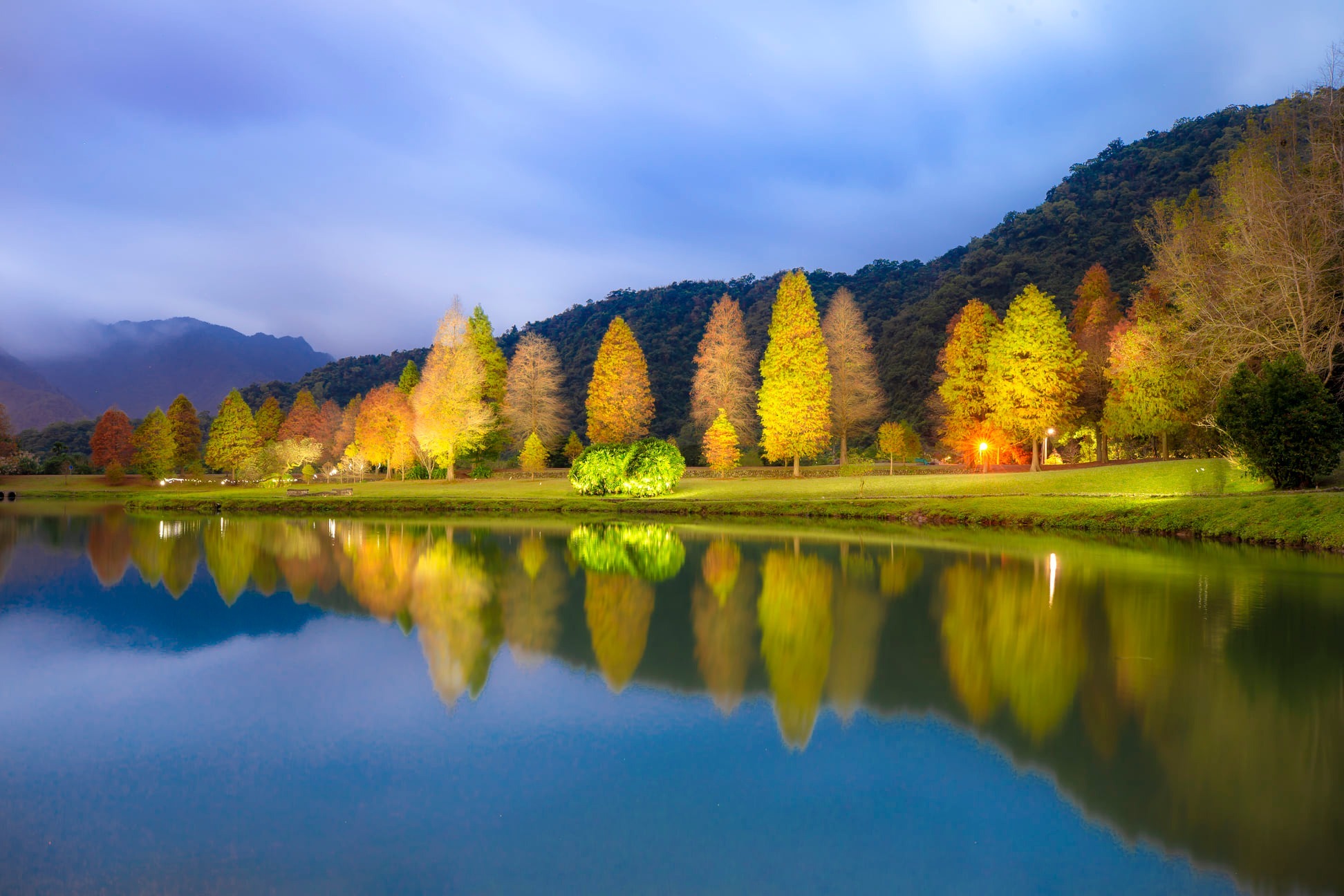 【宜蘭落羽松秘境】外掛台灣欒樹綠色夢幻隧道一次看，粉紅色小燈籠、夢幻金黃大道，週末浪漫拍照去！ @捲捲頭 ♡ 品味生活