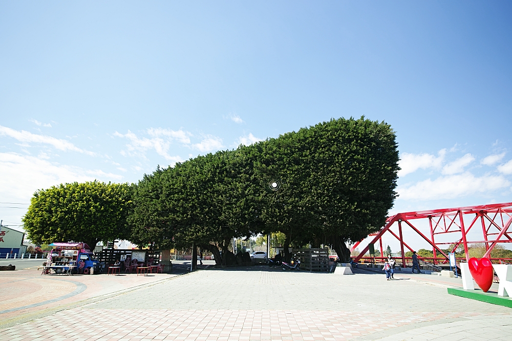 【雲林】西螺蝴蝶公園，天外奇蹟氣球小屋免費拍，童話風格造景超吸睛 @捲捲頭 ♡ 品味生活