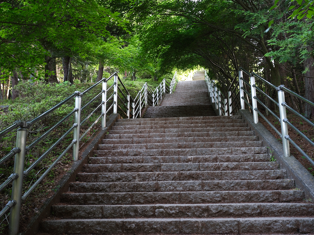 【新倉山淺間公園】攻頂400階的富士山展望台，就可以蒐集最美明信片場景 @捲捲頭 ♡ 品味生活