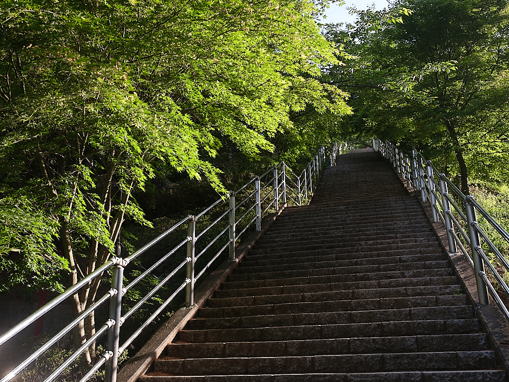 【新倉山淺間公園】攻頂400階的富士山展望台，就可以蒐集最美明信片場景 @捲捲頭 ♡ 品味生活