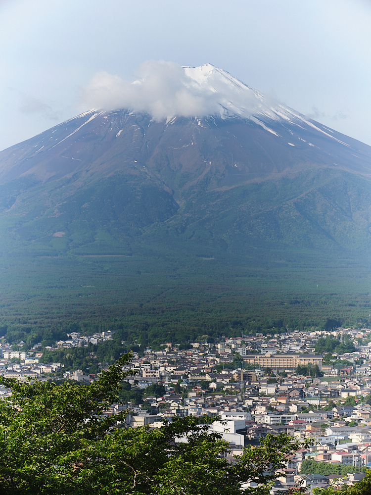 【新倉山淺間公園】攻頂400階的富士山展望台，就可以蒐集最美明信片場景 @捲捲頭 ♡ 品味生活