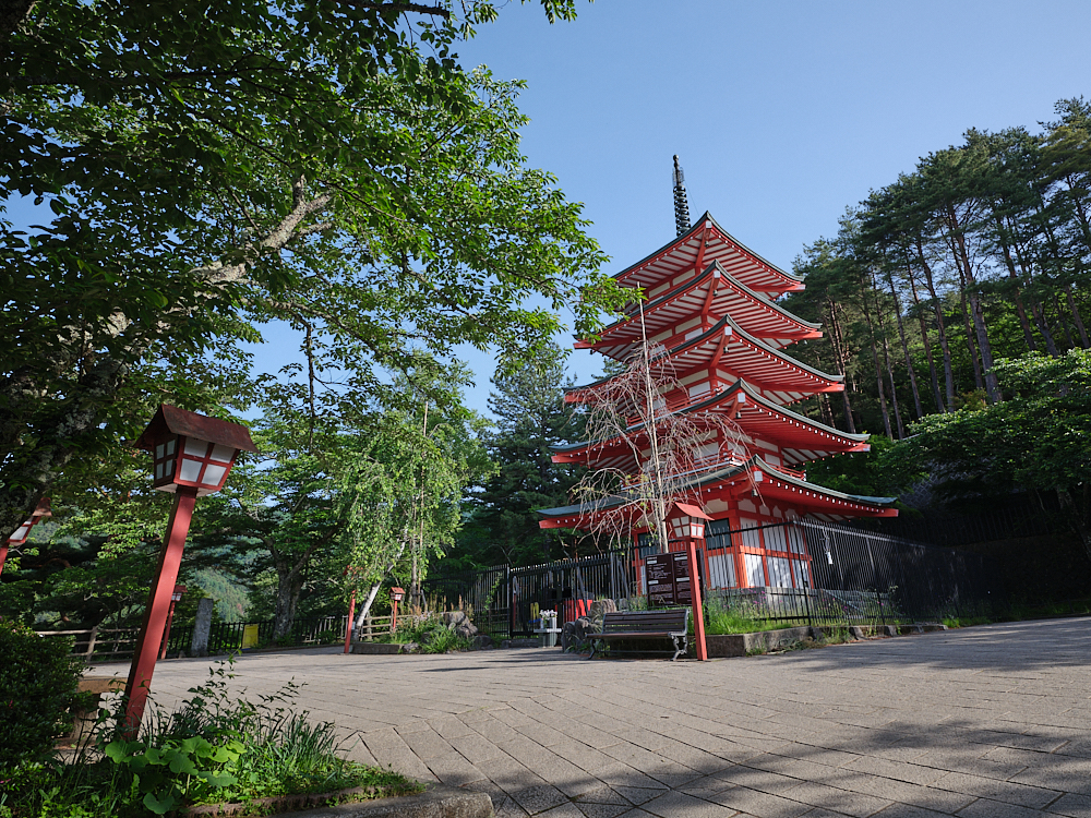 【新倉山淺間公園】攻頂400階的富士山展望台，就可以蒐集最美明信片場景 @捲捲頭 ♡ 品味生活