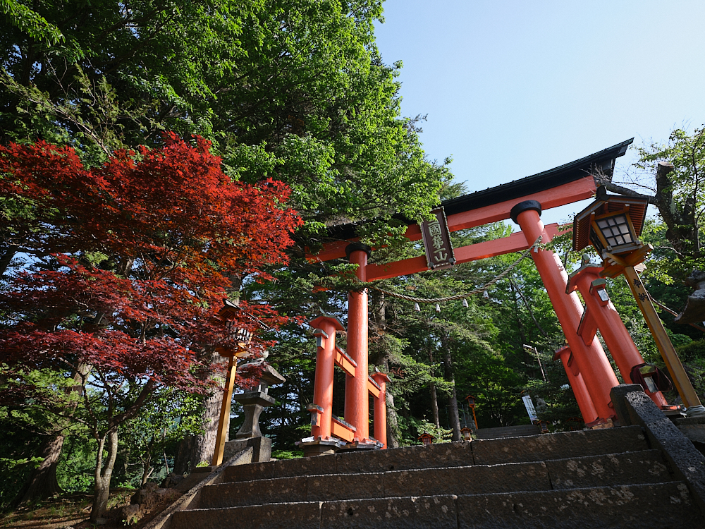 【新倉山淺間公園】攻頂400階的富士山展望台，就可以蒐集最美明信片場景 @捲捲頭 ♡ 品味生活